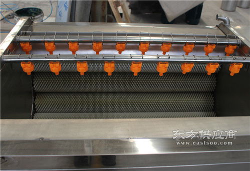 諸城鑫燁機械 打造專業(yè)的果蔬清洗線與洗滌設備